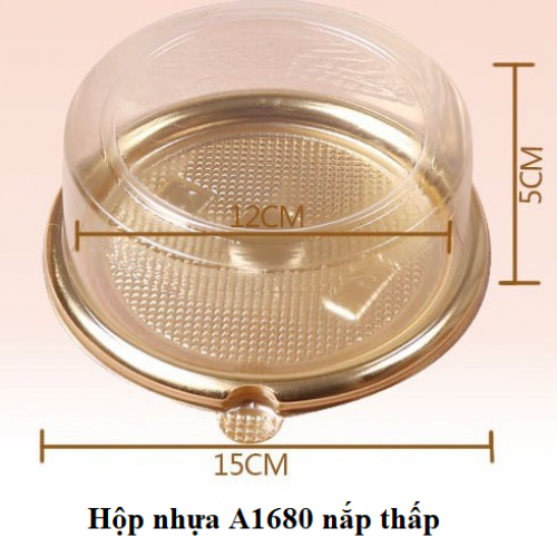 Hộp nhựa A1680 nắp thấp (25c)